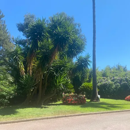 Apartment Matheo Cannes